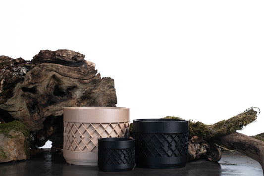 OLIVE Black Flower Pot