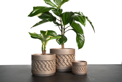 ZEYTİN Natural Saksı