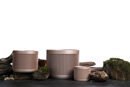JAPANESE Natural Set 