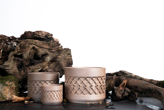 ZEYTİN Natural Flower Pot Set
