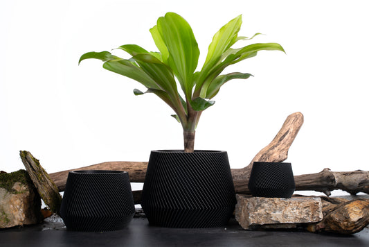 JACARANDA Black Set