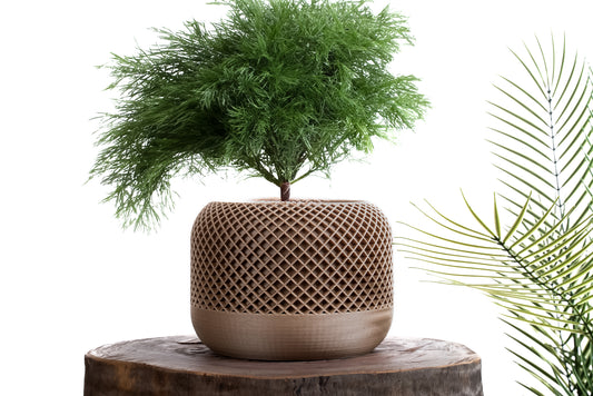 AROCARYA Natural Flower Pot