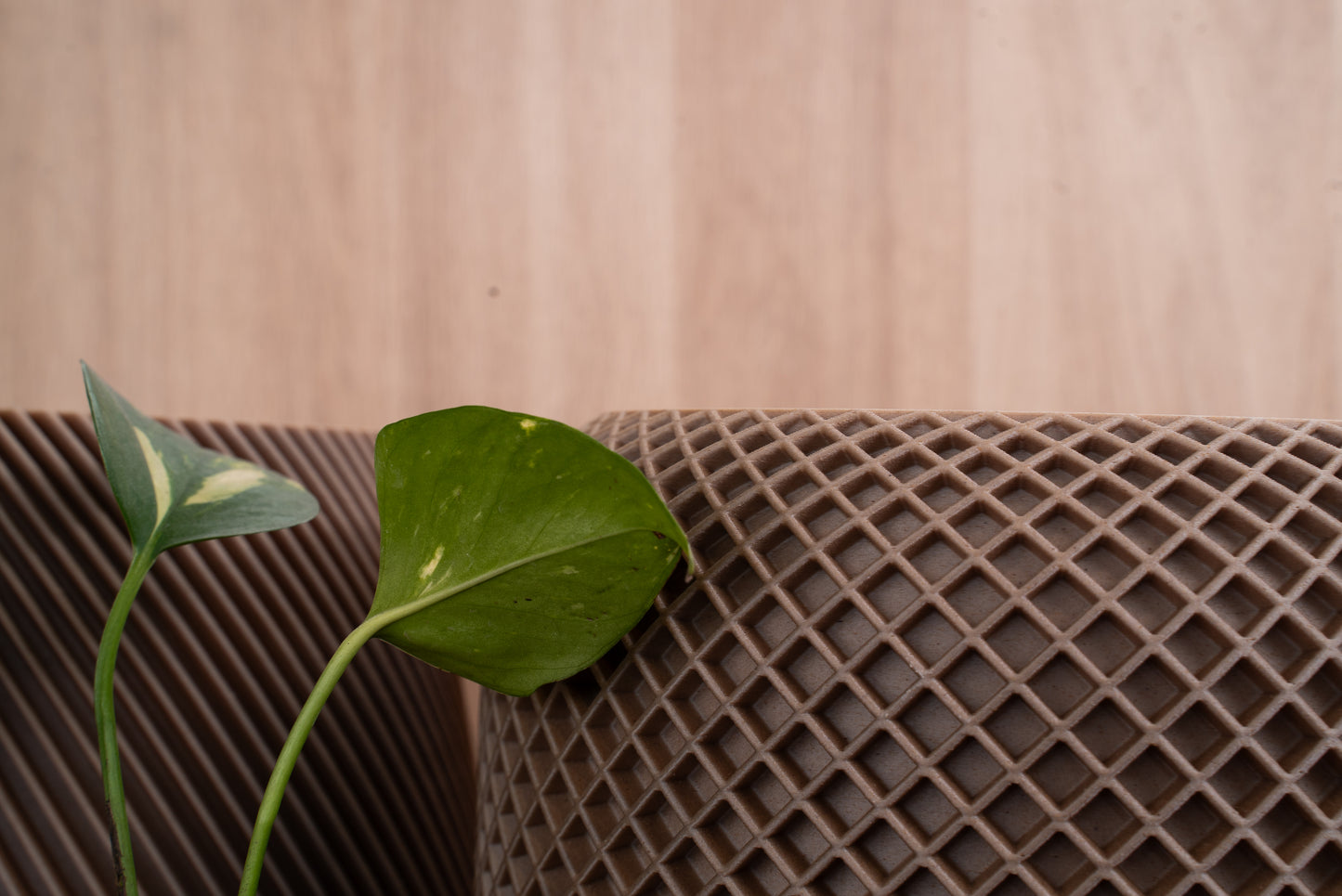AROCARYA Natural Flower Pot