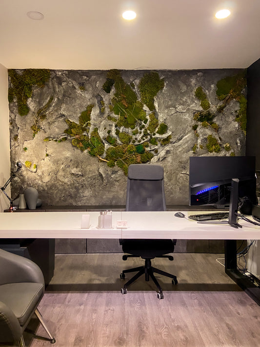 Nconen Ofis