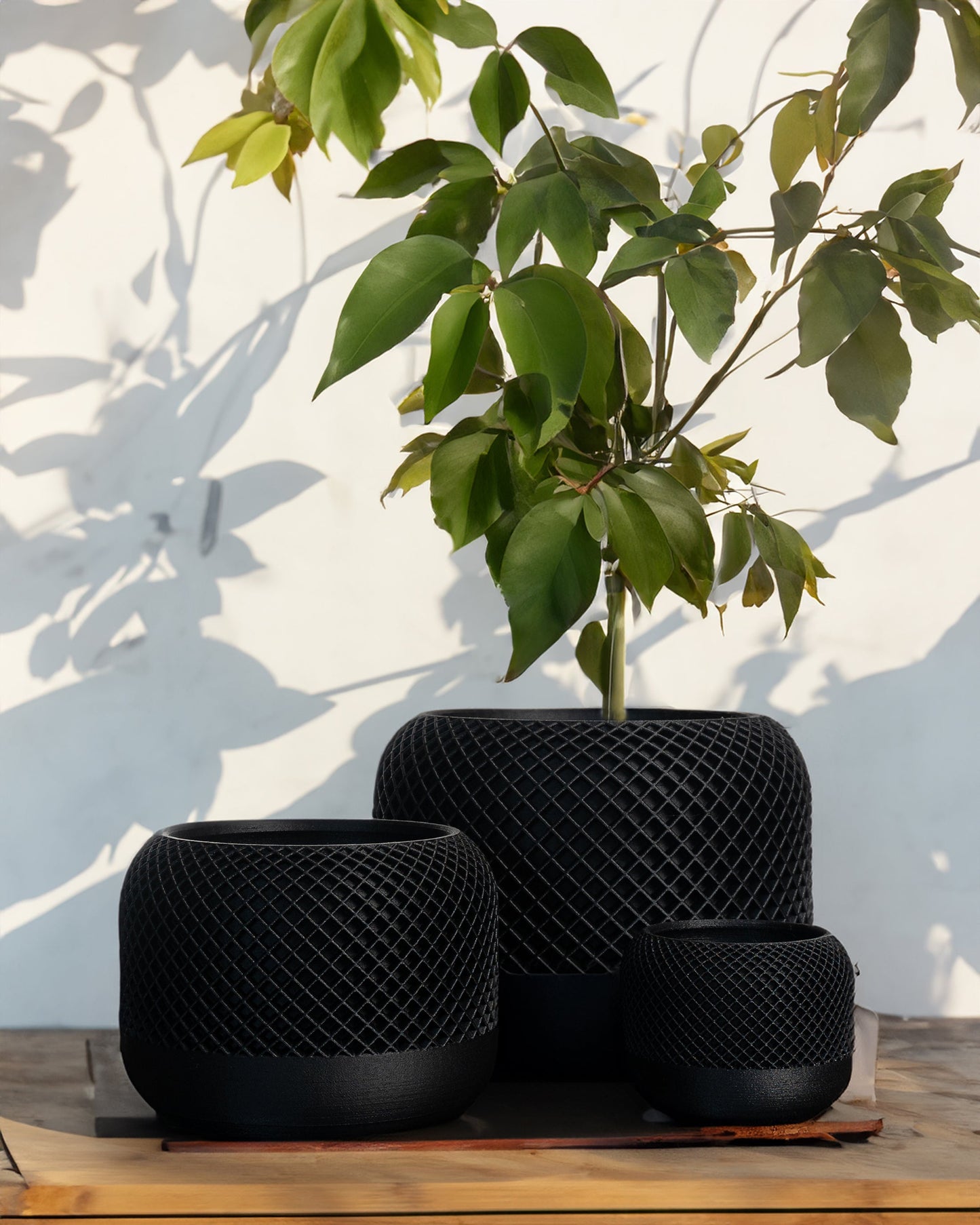 AROKARIA Black Set 